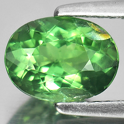 1.58 Ct. Oval Shape Natural Gemstone Green Apatite Unheated