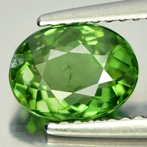 1.67 Ct. Oval Shape Natural Gemstone Green Apatite Unheated
