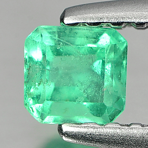 0.24 Ct. Octagon Cut Natural Gemstone Green Emerald Unheated