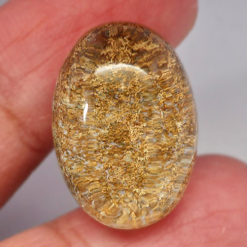 23.48 Ct. Oval Cabochon Natural Gem Brown White Moss Quartz From Brazil Unheated