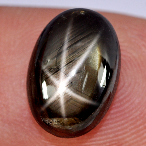 7.55 Ct. Oval Cabochon Natural Black Star Sapphire 6 Rays