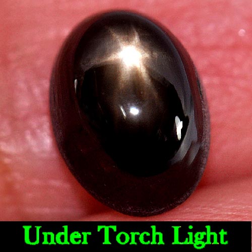 3.68 Ct. Oval Cabochon Natural Gemstone Black Star Sapphire Good 6 Rays