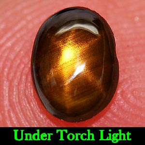 0.70 Ct. Oval Cabochon Natural Gemstone Lucky 6 Ray Yellow Star Sapphire