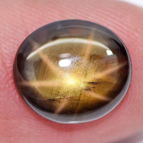 Certified 2.64 Ct. Vivid Natural Gem 6 Ray Golden Star Sapphire Oval Cabochon