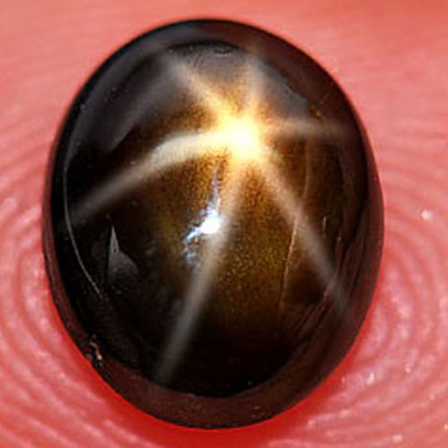Certified 1.87 Ct. Beauty Oval Cabochon Natural Gem 6 Ray Golden Star Sapphire