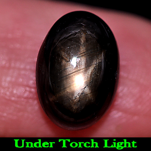 6.87 Ct. Natural Gem Black Star Sapphire 6 Rays Oval Cabochon