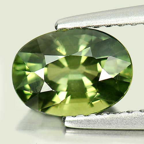Yellowish Green Sapphire 1.66 Ct Clean Oval 8.3 x 6 Mm Natural Gem From Thailand