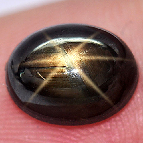 3.38 Ct. Nice Oval Cab Natural Gem 6 Rays Golden Star Sapphire Thailand