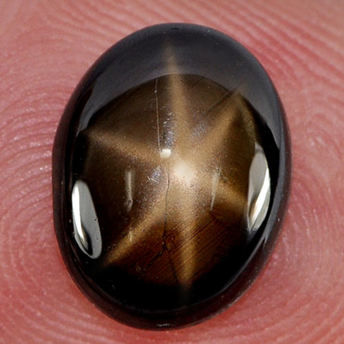 Nice Gem 3.20 Ct. Oval Cabochon Natural 6 Rays Golden Star Sapphire