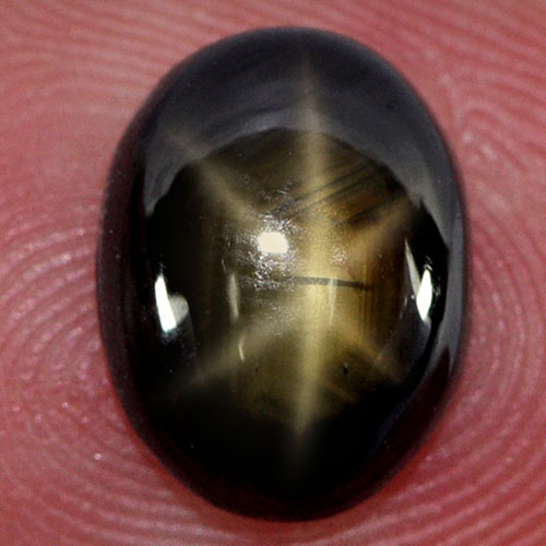 Beautiful Gem 3.80 Ct. Oval Cabochon Natural 6 Rays Golden Star Sapphire