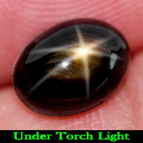 Golden Star Sapphire 6 Rays 3.25 Ct. Oval Cabochon 8.9 x 6.6 Mm. Natural Gem
