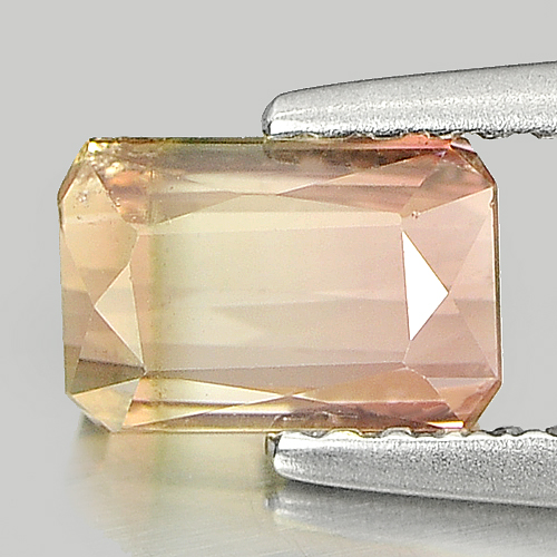 Bi Color Tourmaline 1.13 Ct. Octagon Shape 7 x 4.7 Mm. Natural Gemstone Unheated