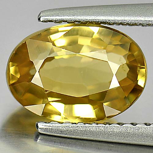 2.73 Ct. Beautiful Oval Shape Natural Gem Yellow Color Zircon From Cambodia