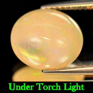 3.25 Ct. Oval Cabochon Natural Multi-Color Play Of Colour Opal