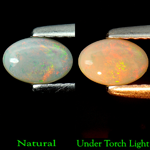 0.24 Ct. Oval Cabochon Natural Multi-Color Play Of Colour Opal