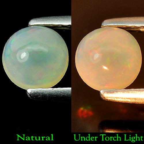 0.60 Ct. Natural Multi-Color Play Of Colour Opal Round Cabochon Unheated